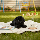 Bocchetta Puddles 28cm Floppy Pug Puppy Plush Toy - Black (Realistic Stuffed Animal Dog Gift)