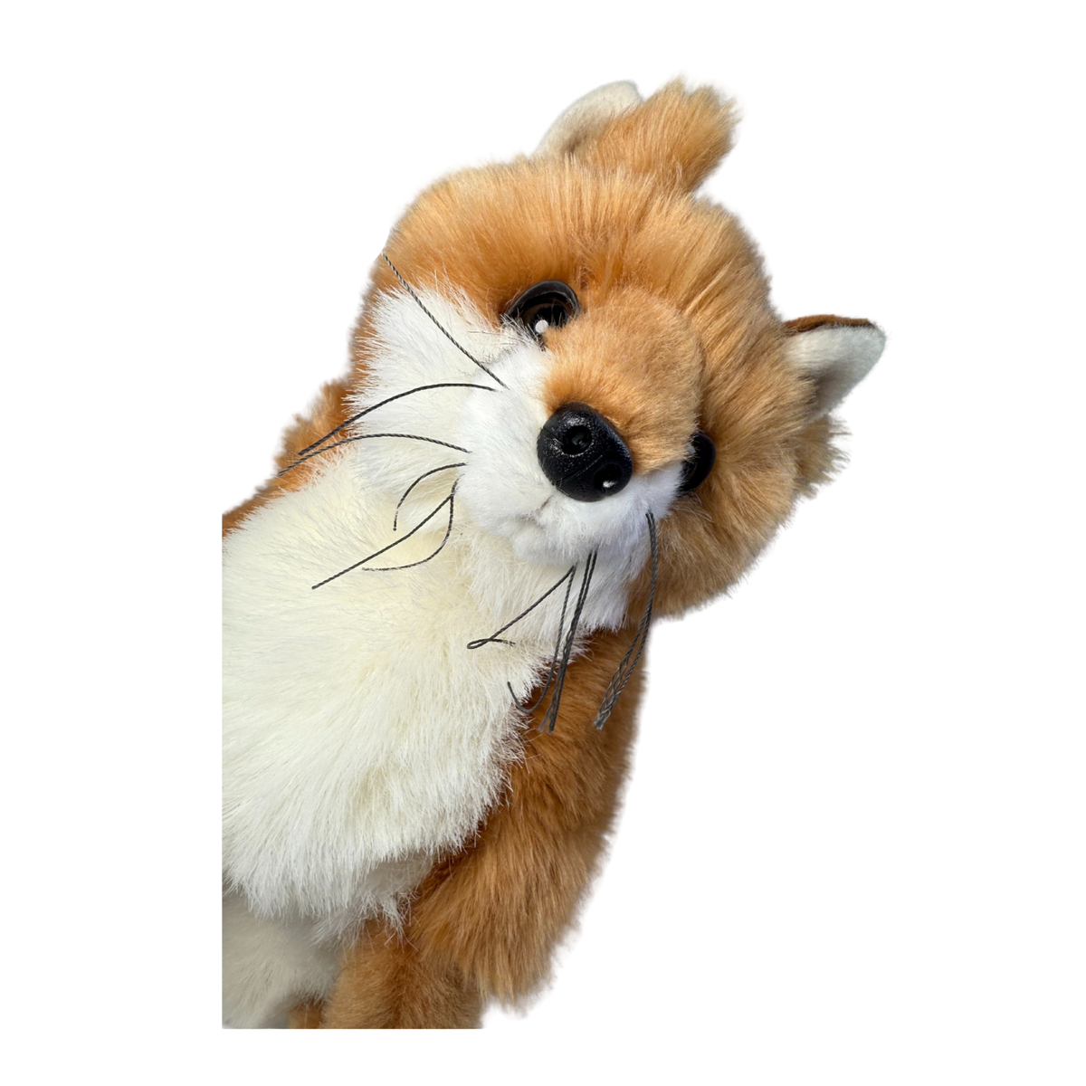 Bocchetta Reynard 24cm Sitting Fox Plush Toy (Realistic Stuffed Animal Wildlife Gift)