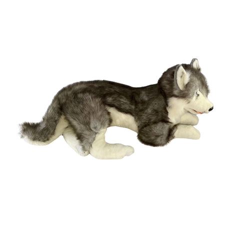 Bocchetta Rocco 62cm Lying Husky Plush Toy (Realistic Stuffed Animal Dog Gift)