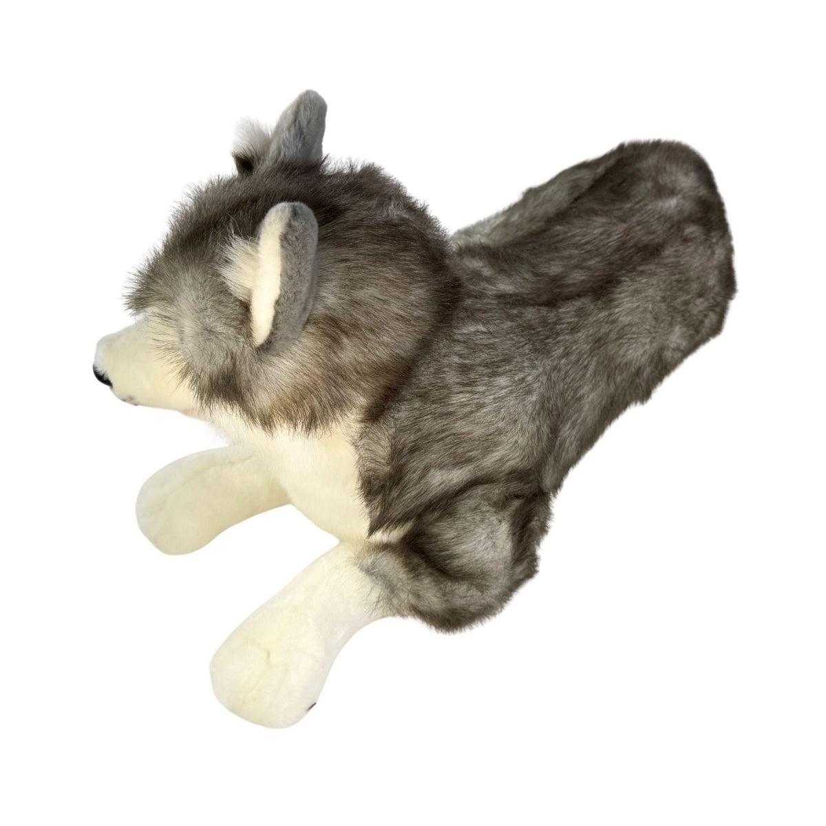 Bocchetta Rocco 62cm Lying Husky Plush Toy (Realistic Stuffed Animal Dog Gift)