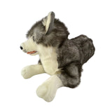 Bocchetta Rocco 62cm Lying Husky Plush Toy (Realistic Stuffed Animal Dog Gift)