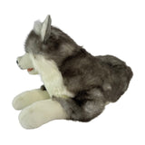 Bocchetta Rocket 62cm Lying Husky with Satin Pocket Plush Toy (Realistic Stuffed Animal Dog Gift)