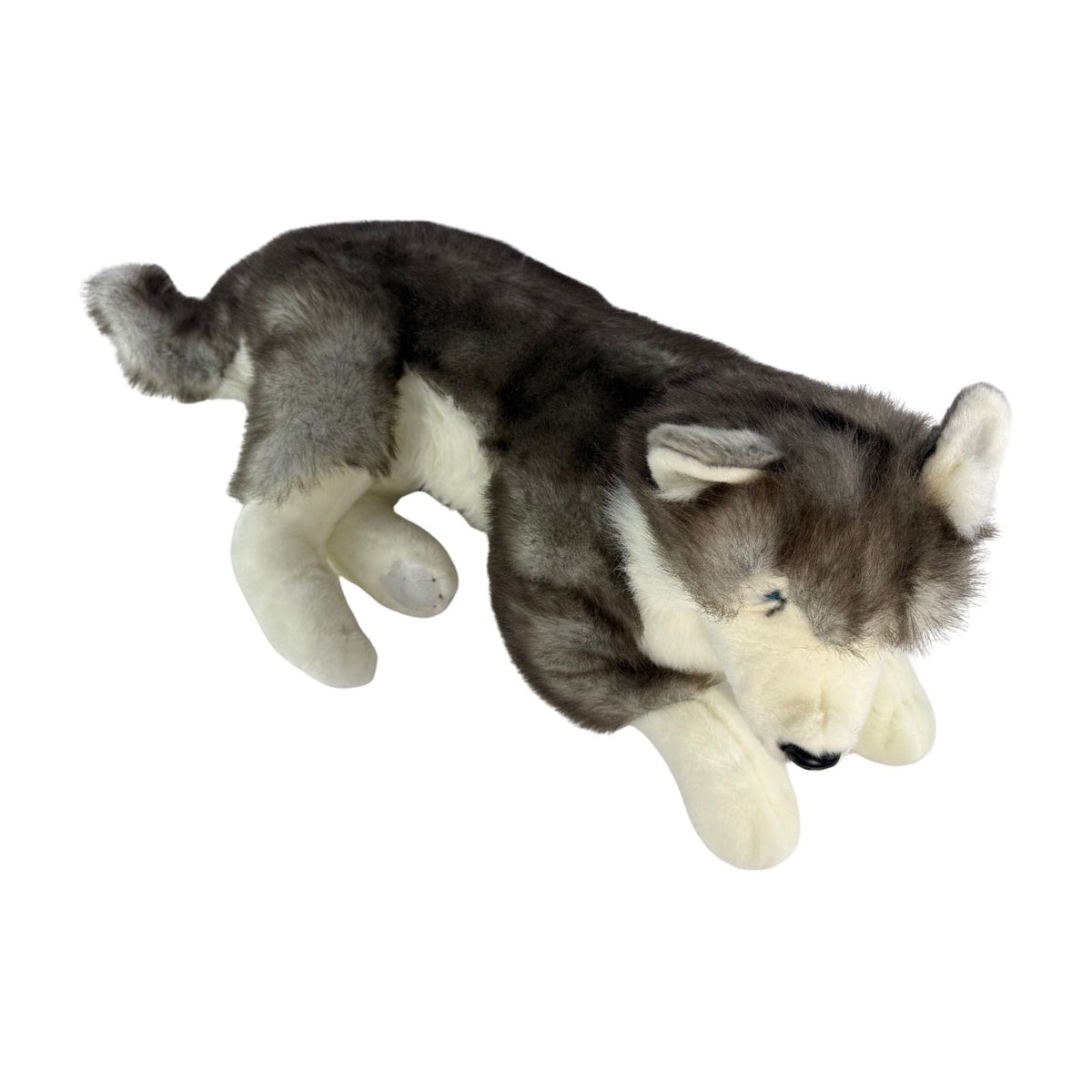 Bocchetta Rocket 62cm Lying Husky with Satin Pocket Plush Toy (Realistic Stuffed Animal Dog Gift)