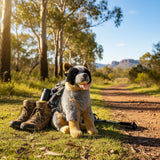 Bocchetta Rocky 41cm Sitting Blue Heeler Cattle Dog Plush Toy (Australian Stuffed Animal Gift)