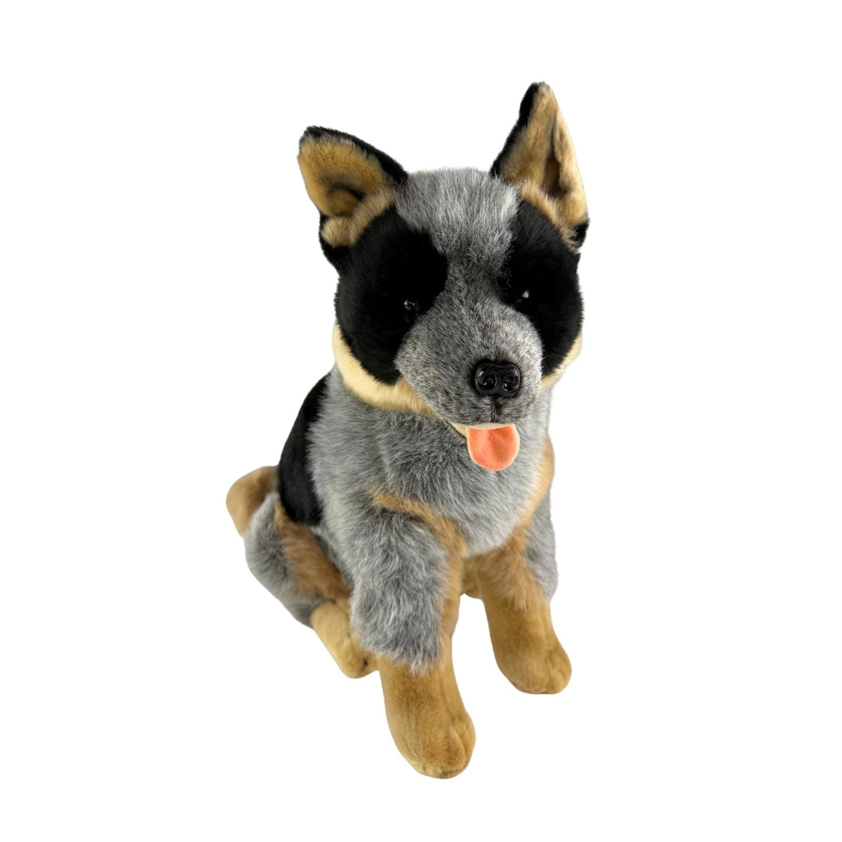 Bocchetta Rocky 41cm Sitting Blue Heeler Cattle Dog Plush Toy (Australian Stuffed Animal Gift)