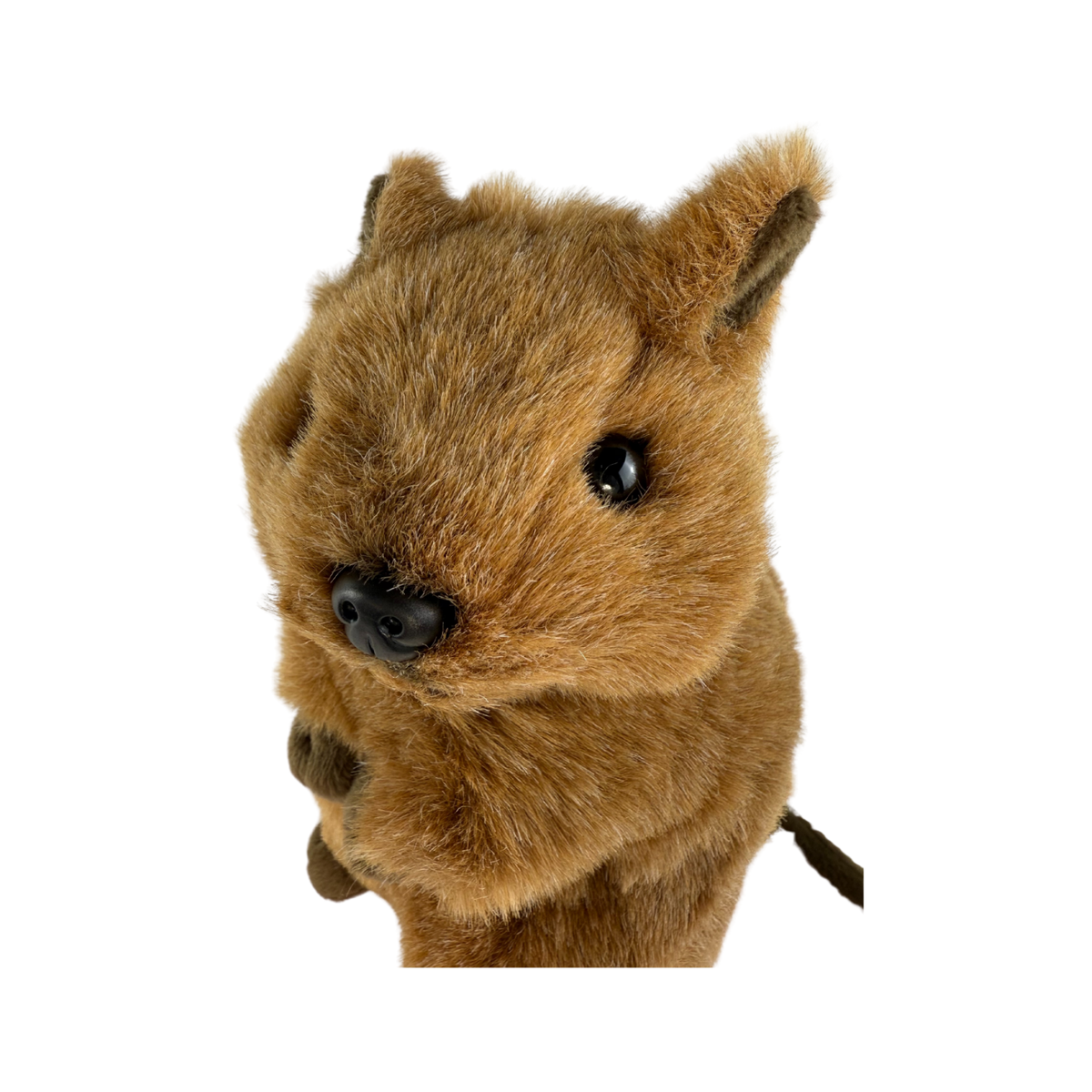 Bocchetta Roger 28cm Standing Quokka Plush Toy (Australian Stuffed Animal Souvenir Gift)