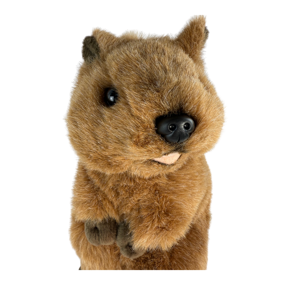 Bocchetta Roger 28cm Standing Quokka Plush Toy (Australian Stuffed Animal Souvenir Gift)