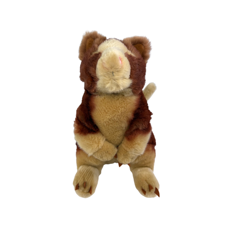 Bocchetta Rufus 25cm Red Tree Kangaroo Plush Toy (Australian Stuffed Animal Souvenir Gift)