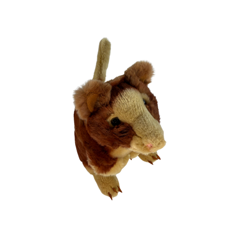 Bocchetta Rufus 25cm Red Tree Kangaroo Plush Toy (Australian Stuffed Animal Souvenir Gift)