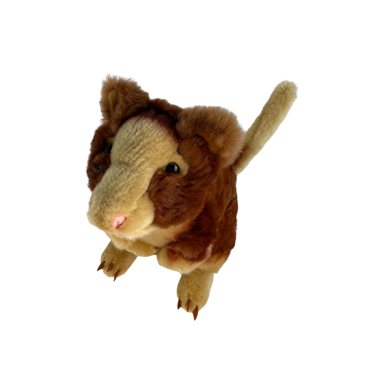 Bocchetta Rufus 25cm Red Tree Kangaroo Plush Toy (Australian Stuffed Animal Souvenir Gift)