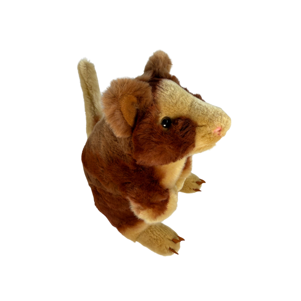Bocchetta Rufus 25cm Red Tree Kangaroo Plush Toy (Australian Stuffed Animal Souvenir Gift)