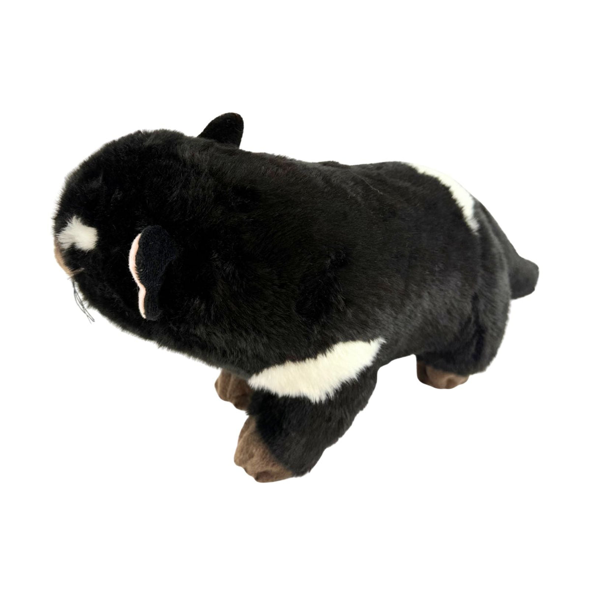 Bocchetta Rupert 30cm Tasmanian Devil Plush Toy (Australian Stuffed Animal Souvenir Gift)