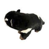 Bocchetta Rupert 30cm Tasmanian Devil Plush Toy (Australian Stuffed Animal Souvenir Gift)