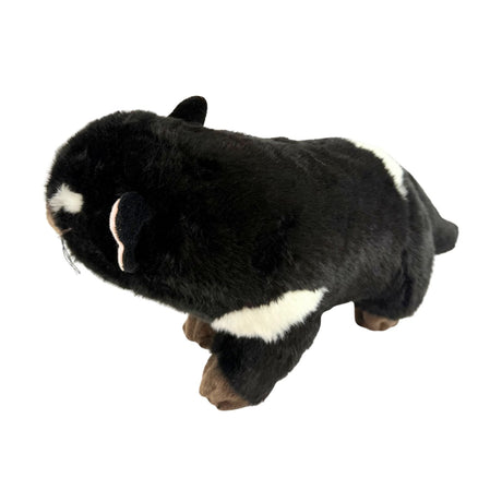 Bocchetta Rupert 30cm Tasmanian Devil Plush Toy (Australian Stuffed Animal Souvenir Gift)