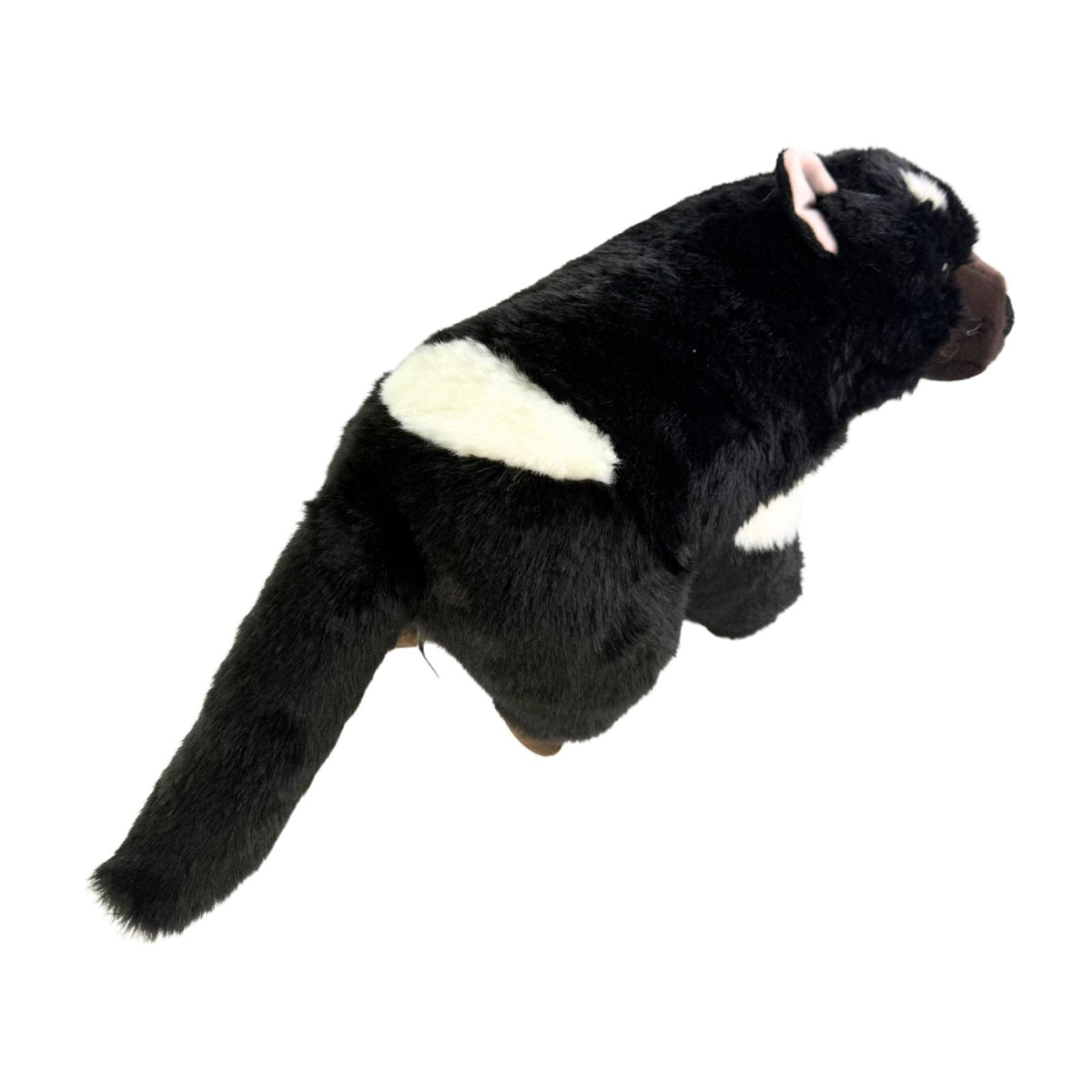 Bocchetta Rupert 30cm Tasmanian Devil Plush Toy (Australian Stuffed Animal Souvenir Gift)
