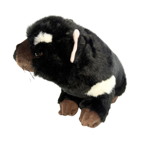 Bocchetta Rupert 30cm Tasmanian Devil Plush Toy (Australian Stuffed Animal Souvenir Gift)