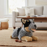 Bocchetta Rusty 28cm Floppy Blue Heeler Cattle Dog Puppy Plush Toy (Australian Stuffed Animal Gift)