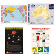 4-Pack "Little Explorer" Educational Posters - A2 Size (Printed in Australia)