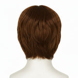 Brown 70s/80s Mens Costume Wig - Funny Hair Costume (Halloween & Fancy Dress)