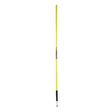10x Agility Slalom Training Poles with Spike Base