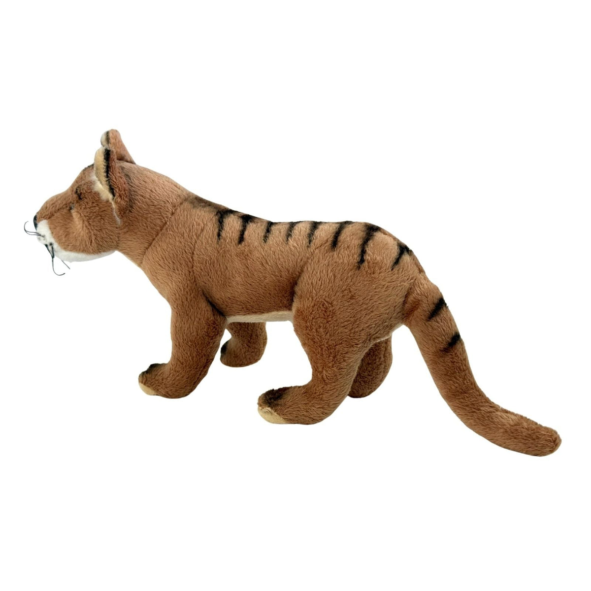Bocchetta Sammy 24cm Tasmanian Tiger Plush Toy (Australian Stuffed Animal Souvenir Gift)