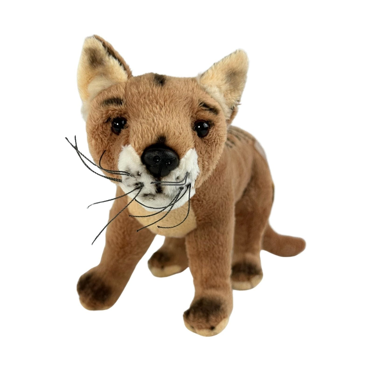 Bocchetta Sammy 24cm Tasmanian Tiger Plush Toy (Australian Stuffed Animal Souvenir Gift)