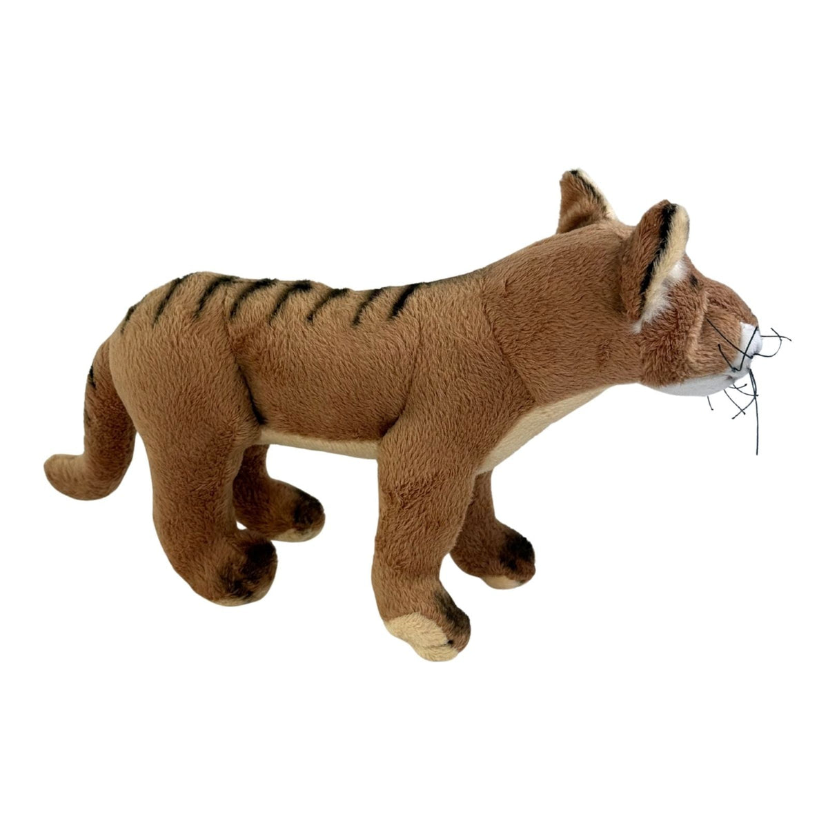 Bocchetta Sammy 24cm Tasmanian Tiger Plush Toy (Australian Stuffed Animal Souvenir Gift)