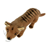 Bocchetta Sammy 24cm Tasmanian Tiger Plush Toy (Australian Stuffed Animal Souvenir Gift)