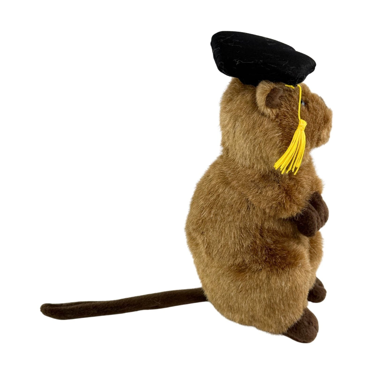 Bocchetta Sheldon 21cm Graduation Quokka Plush Toy (Stuffed Animal Grad Gift)