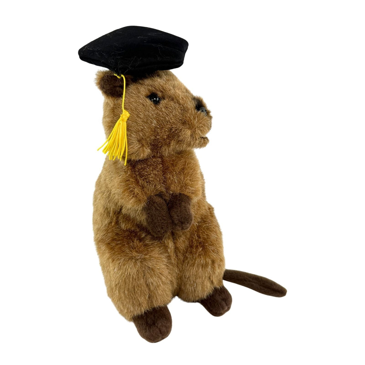 Bocchetta Sheldon 21cm Graduation Quokka Plush Toy (Stuffed Animal Grad Gift)