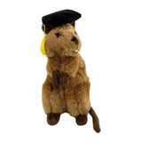 Bocchetta Sheldon 21cm Graduation Quokka Plush Toy (Stuffed Animal Grad Gift)