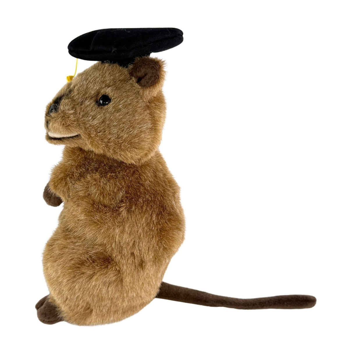 Bocchetta Sheldon 21cm Graduation Quokka Plush Toy (Stuffed Animal Grad Gift)