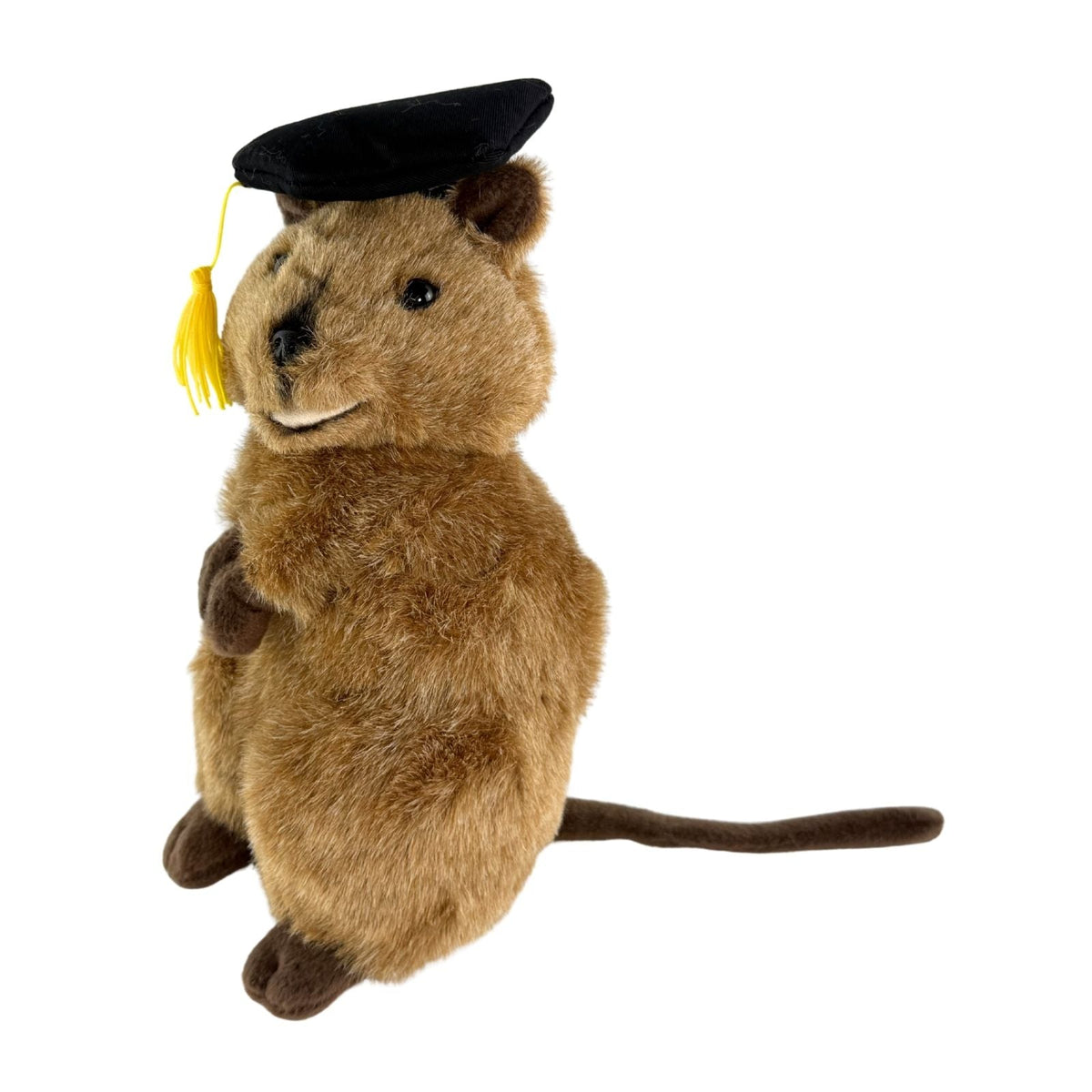 Bocchetta Sheldon 21cm Graduation Quokka Plush Toy (Stuffed Animal Grad Gift)