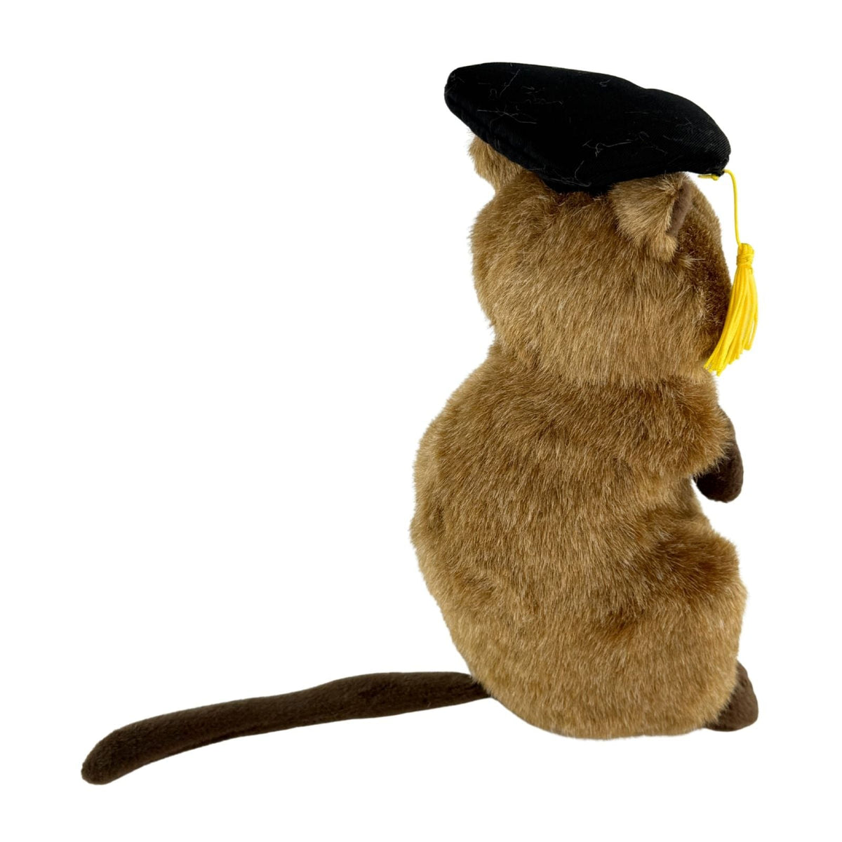 Bocchetta Sheldon 21cm Graduation Quokka Plush Toy (Stuffed Animal Grad Gift)