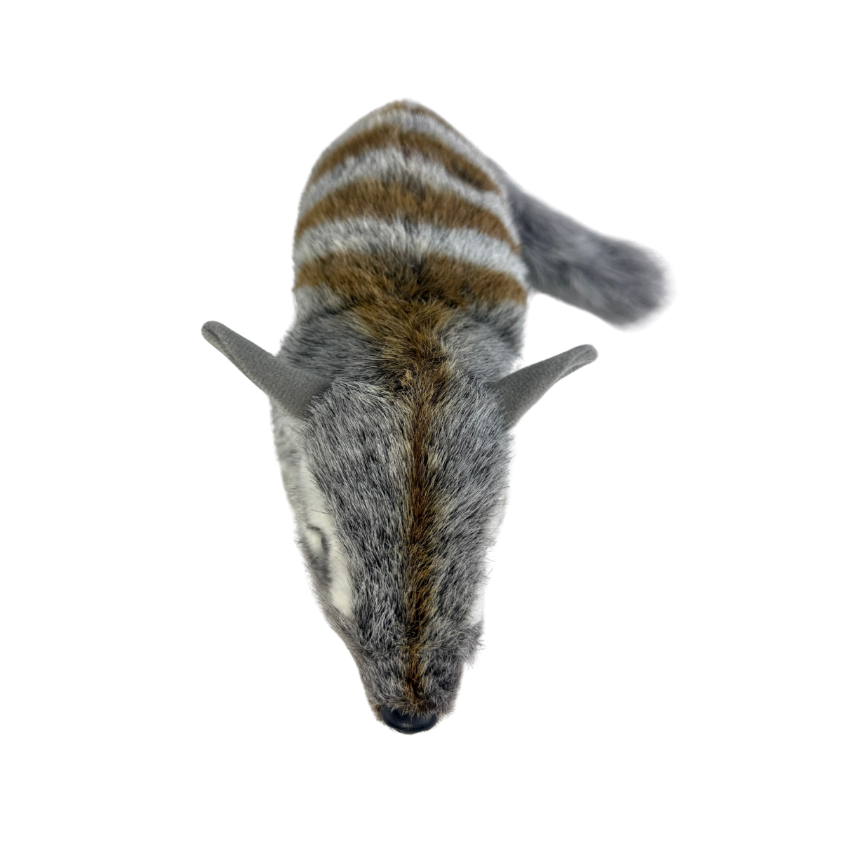 Bocchetta Sherbet 30cm Standing Numbat Plush Toy (Australian Stuffed Animal Souvenir Gift)