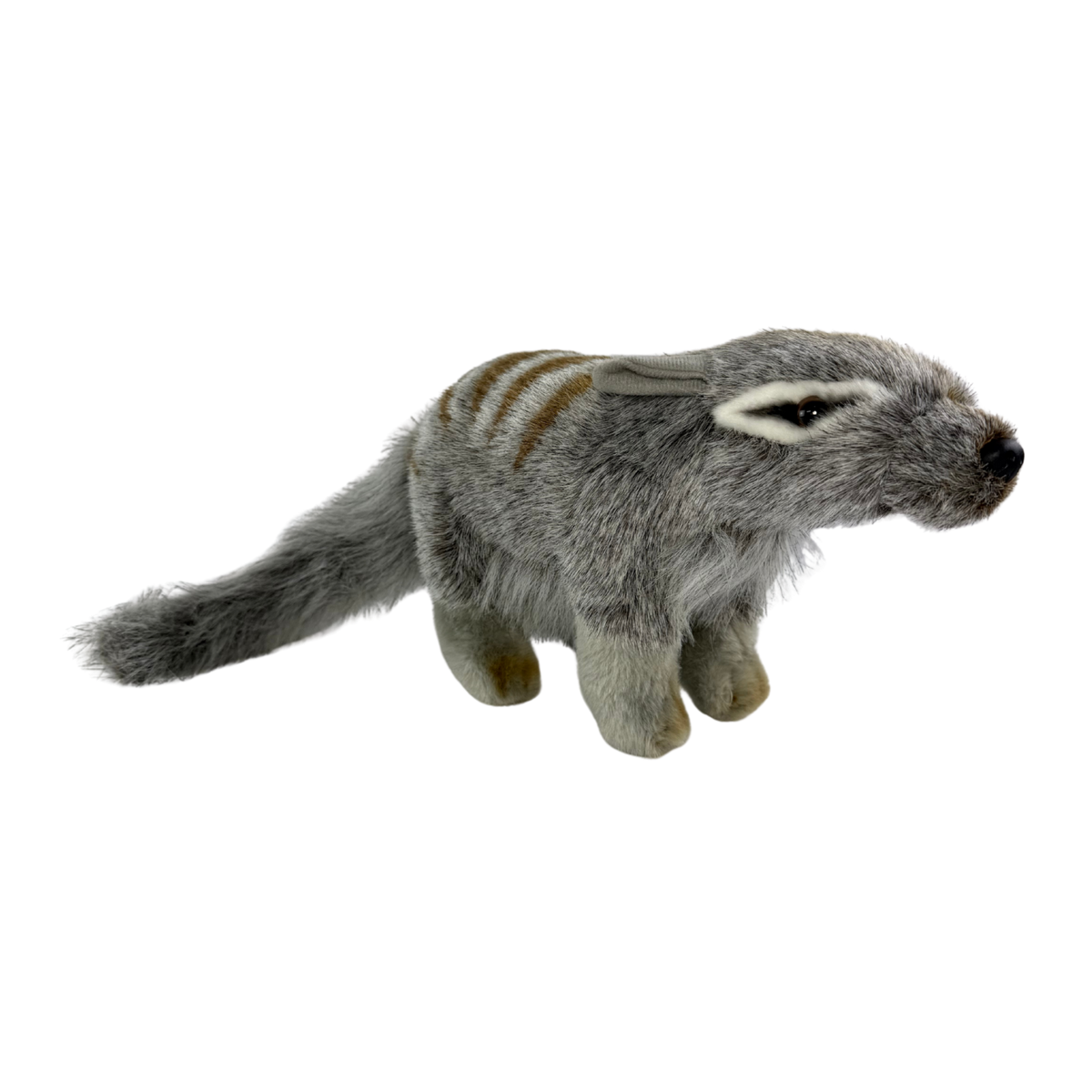 Bocchetta Sherbet 30cm Standing Numbat Plush Toy (Australian Stuffed Animal Souvenir Gift)