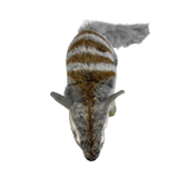 Bocchetta Sherbet 30cm Standing Numbat Plush Toy (Australian Stuffed Animal Souvenir Gift)