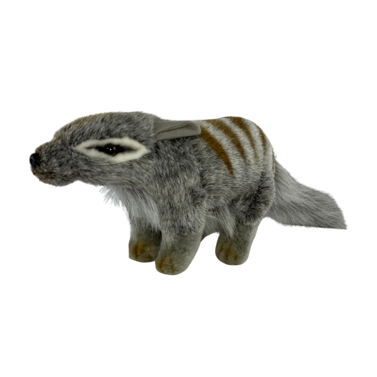 Bocchetta Sherbet 30cm Standing Numbat Plush Toy (Australian Stuffed Animal Souvenir Gift)