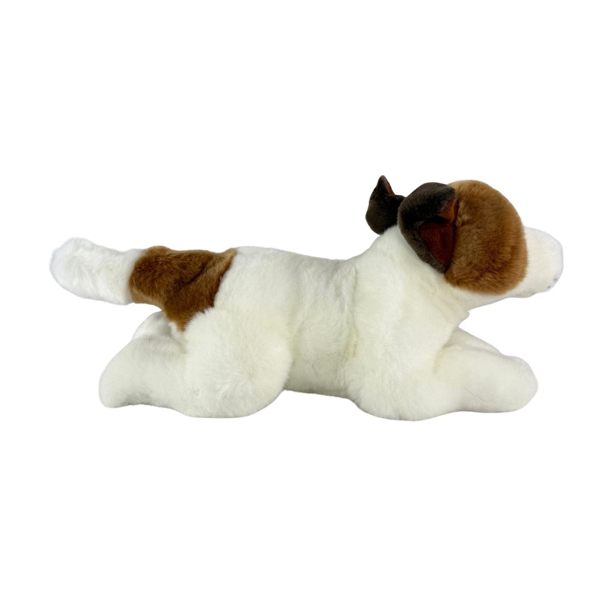 Bocchetta Sparky 28cm Floppy Jack Russell Terrier Puppy Plush Toy (Realistic Stuffed Animal Dog Gift)