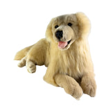 Bocchetta Spencer 62cm Lying Golden Retriever Plush Toy (Realistic Stuffed Animal Dog Gift)