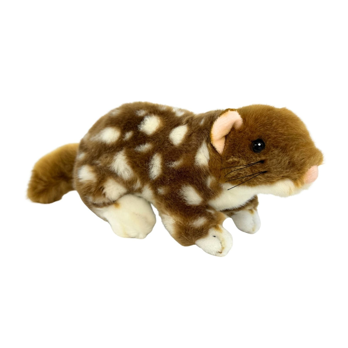 Bocchetta Spotty 20cm Eastern Quoll Plush Toy (Australian Stuffed Animal Souvenir Gift)