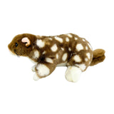 Bocchetta Spotty 20cm Eastern Quoll Plush Toy (Australian Stuffed Animal Souvenir Gift)