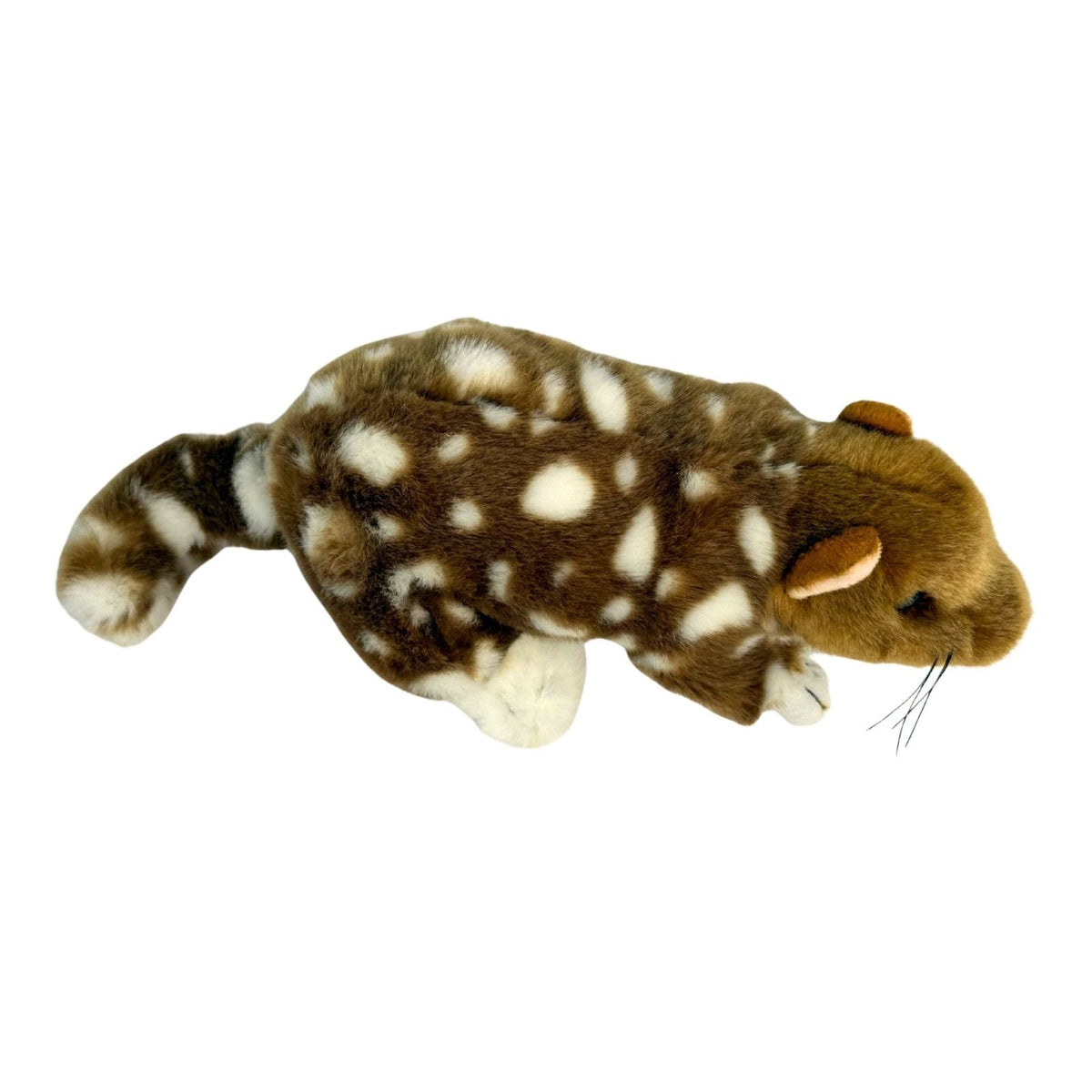 Bocchetta Spotty 20cm Eastern Quoll Plush Toy (Australian Stuffed Animal Souvenir Gift)