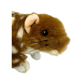 Bocchetta Spotty 20cm Eastern Quoll Plush Toy (Australian Stuffed Animal Souvenir Gift)