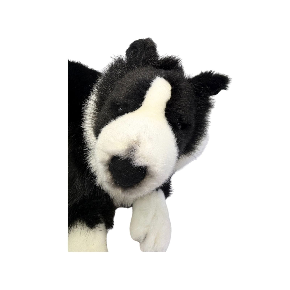 Bocchetta Starsky 40cm Lying Border Collie Puppy Plush Toy - Black/White (Realistic Stuffed Animal Dog Gift)
