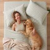 Renee Taylor Stewart 300TC Organic Cotton Sheet Set - Sage Gingham (GOTS Certified)