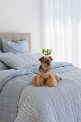 100% Cotton Quilted Lumbar Pillow - CIEL Sky Blue