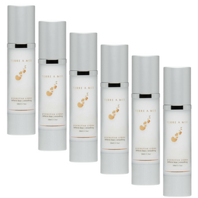 6x TERRE A MER Protective Crème Heat Hair Cream - No Frizz Styling Shiny Repair (Bulk Pack)