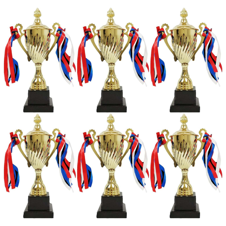 6x 30cm Gold Trophy Cup Bulk Pack - School Sports Day Winners/Events Award