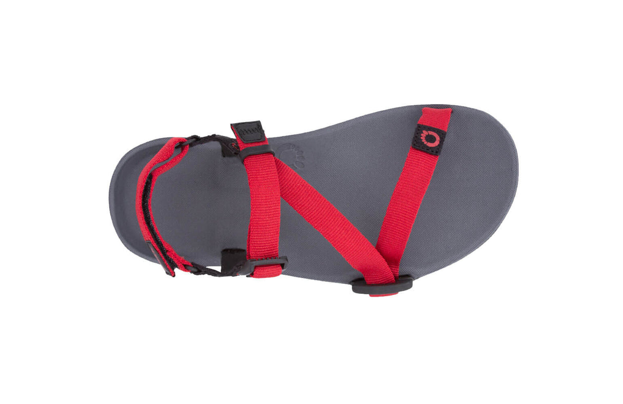 Xero Kids Z-Trail Barefoot Hiking Sandals - Charcoal/Red Pepper (Zero Drop)